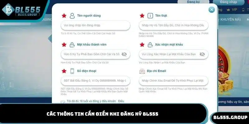 Các thông tin cần điền khi đăng ký BL555