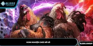 kinh nghiệm chơi đá gà