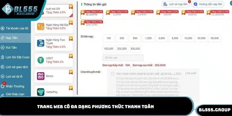 Trang web có đa dạng phương thức thanh toàn
